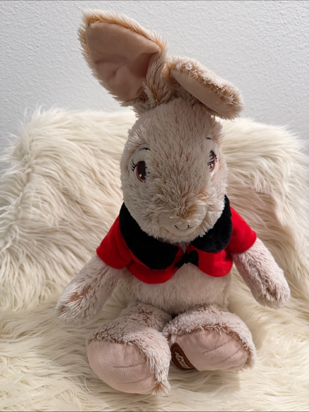 Dan Dee Peter Rabbit Flopsy Plush Bunny Red Coat Easter Soft Stuffed Animal